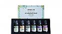Set d'huiles essentielles de lavande, thym, eucalyptus, citronnelle, romarin et bergamote